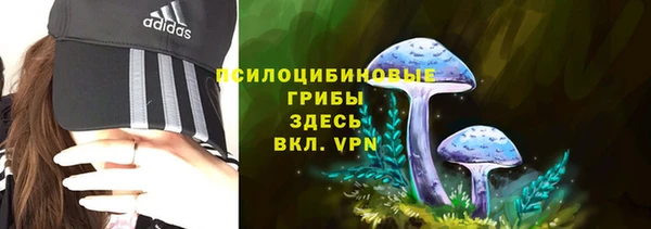 кокаин премиум Гусиноозёрск