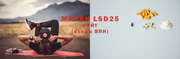 мдпв Гусь-Хрустальный