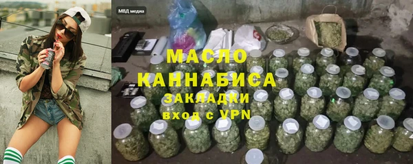 мдпв Гусь-Хрустальный