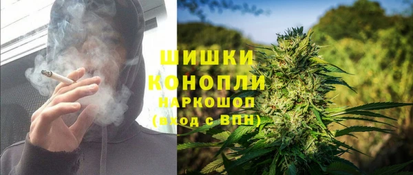 мдпв Гусь-Хрустальный