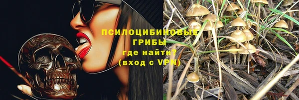 мдпв Гусь-Хрустальный