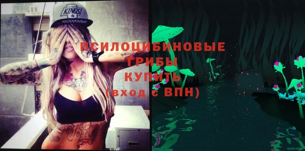 трава Гусев