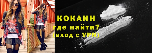 мдпв Гусь-Хрустальный