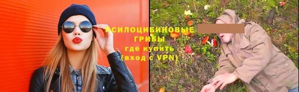 трава Гусев